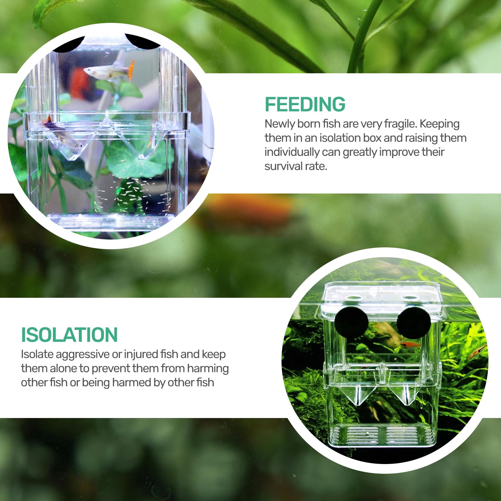 Image result for Shrimp Tank Aquarium Breeder Box Breeding Incubator Small Fish Hatchery ...