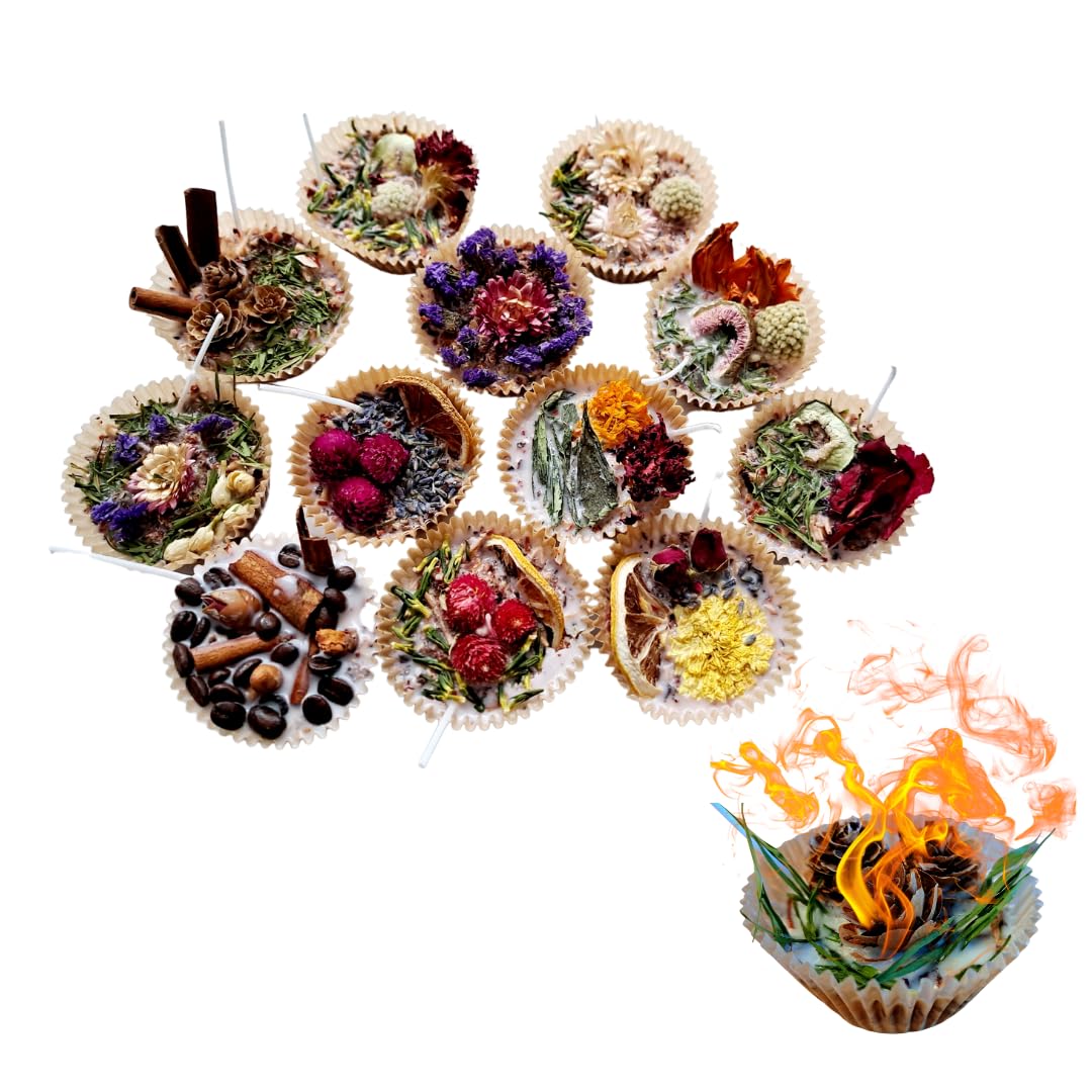 Fire Starter for Outdoor Fireplace - Natural Wax Botanical Fire Burner - Upcycled - Eco-Friendly - Gift for Camper - Fall Gift Idea (set of 12)