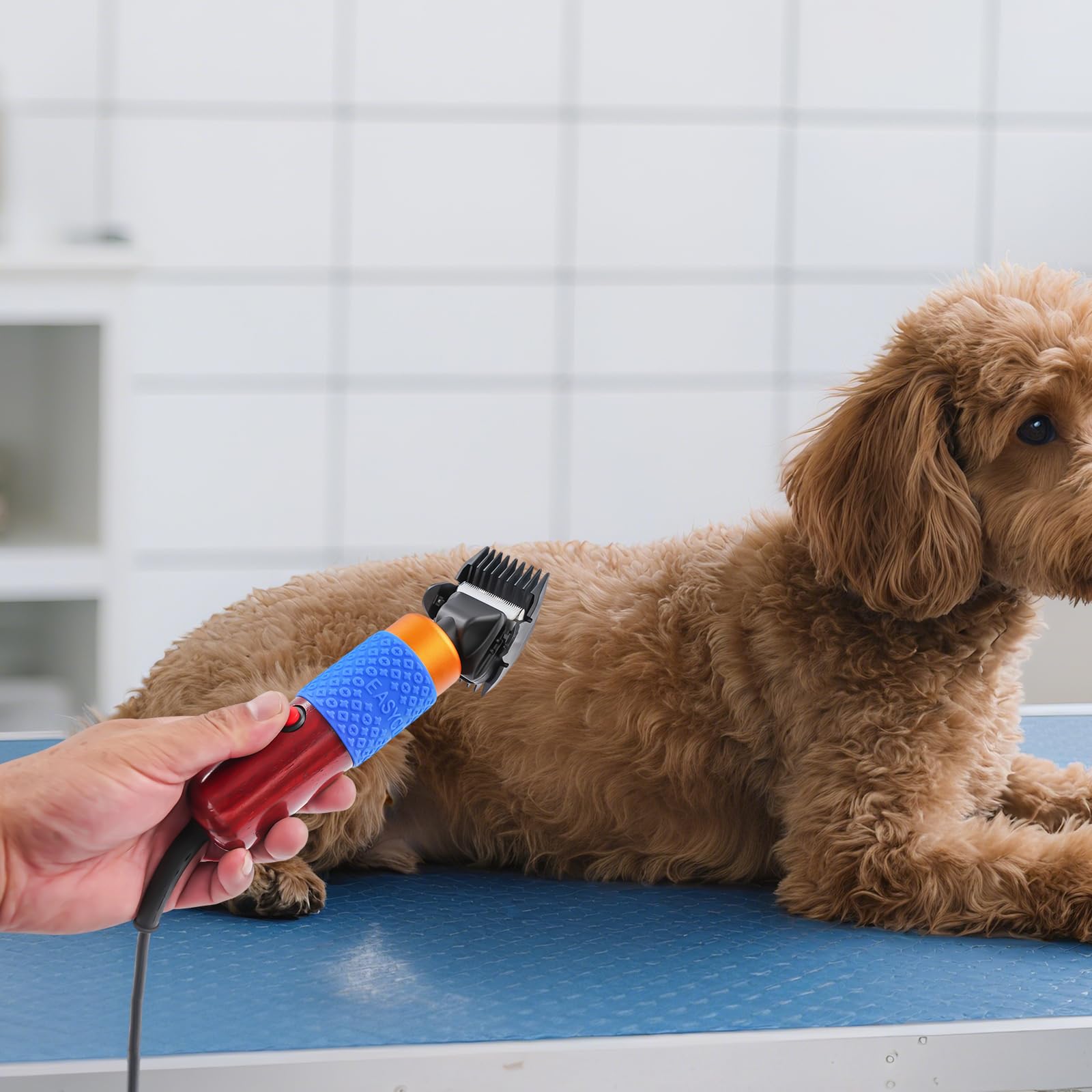 Tagliacapelli elettrico a velocità variabile, 200 W, con cassetta degli attrezzi per cappotti spessi, set per cani, gatti e altri animali domestici