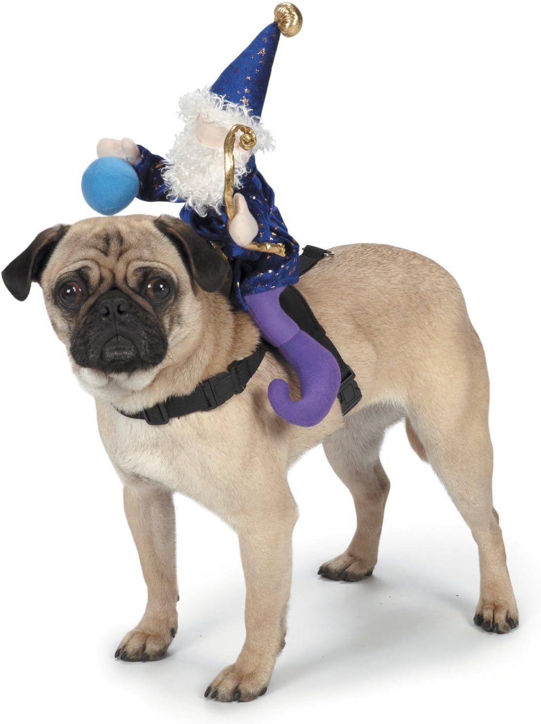 Zack & Zoey Wizard Saddle Dog Costume, Small
