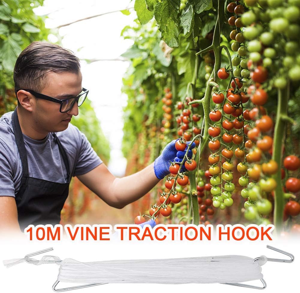 DAMEING Plant Climbing Hooks, Tomato Support J Hook Garden Hooks to Prevent Tomatoes from Pinching or Falling Off (10Pcs)