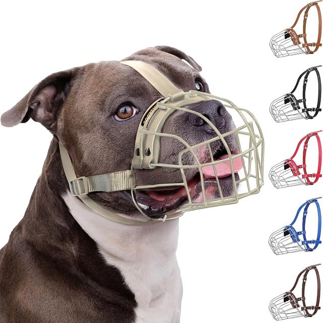 BRONZEDOG Pitbull - Bozal de metal transpirable para perros grandes, como Amstaff Staffordshire terrier…