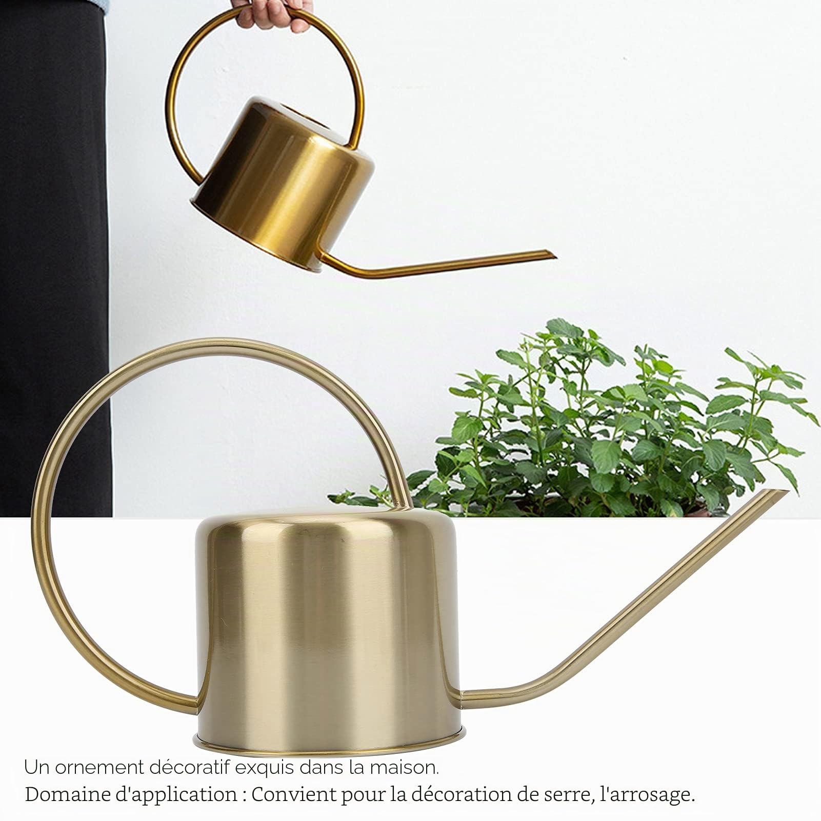 Shanrya Arrosoir pour Plantes, arrosoir rétro en Laiton à Long Bec pour Jardin pour terrasse