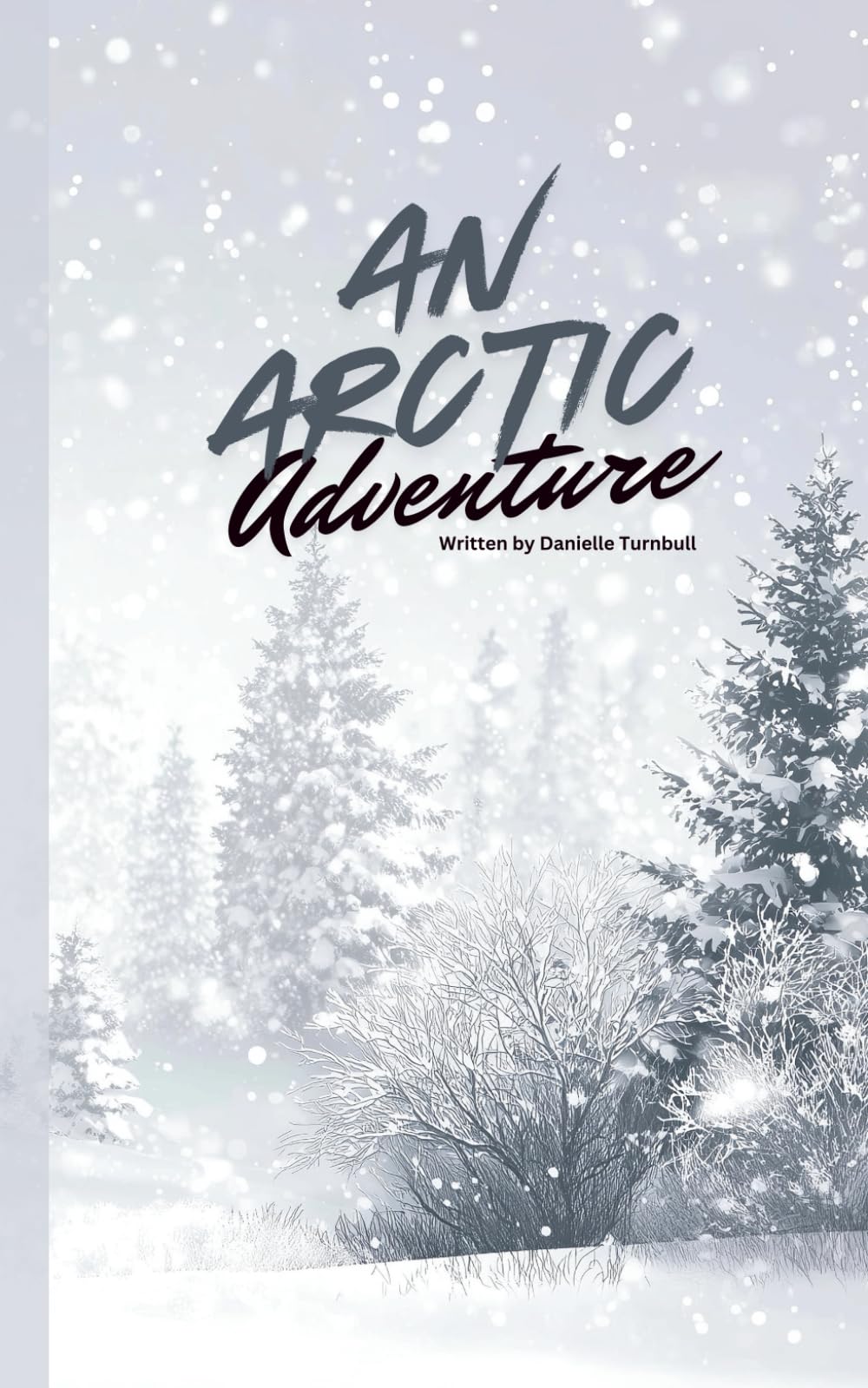 An Arctic Adventure