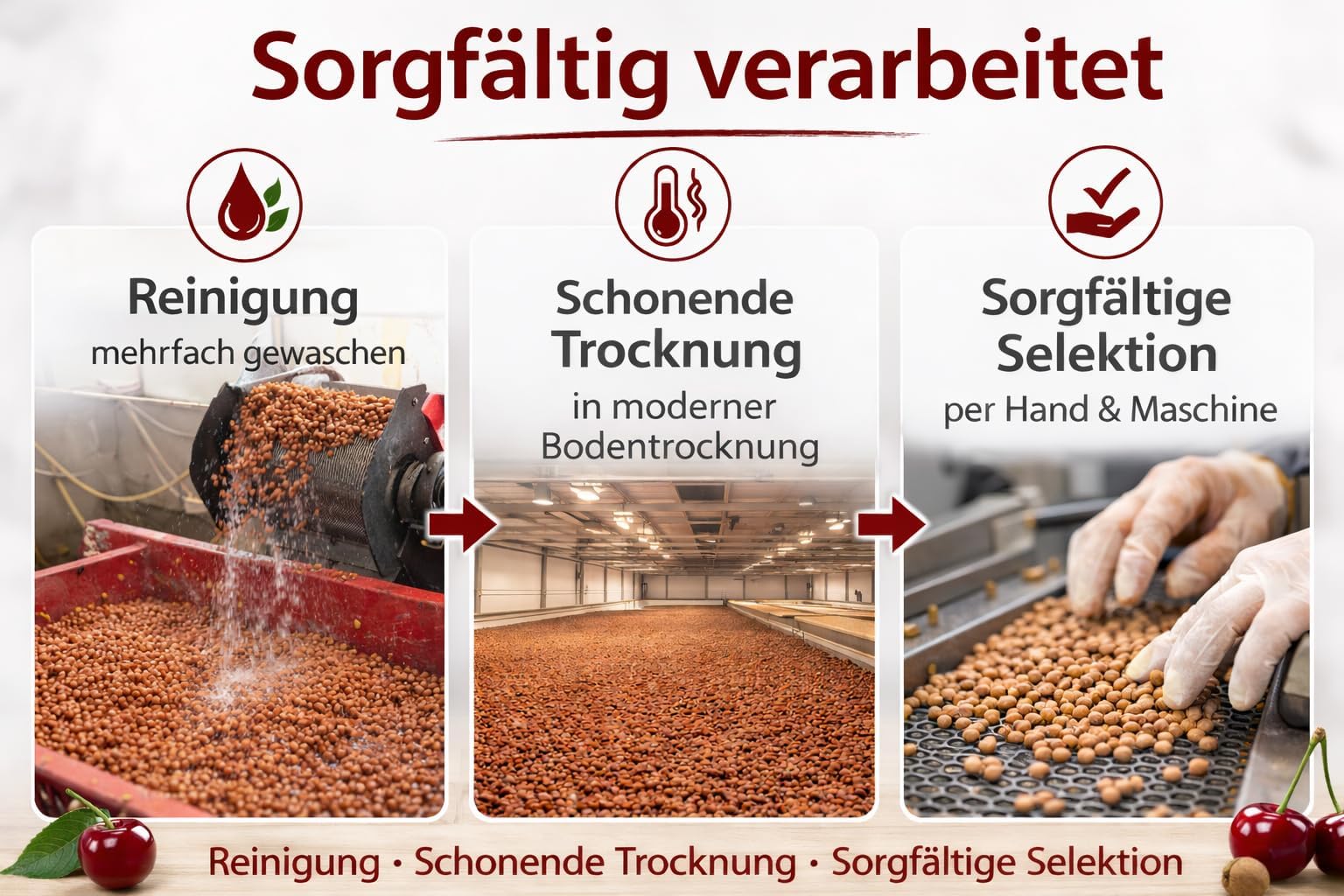 Lose Kirschkerne 10 kg Gereinigt und Getrocknet Premium Füllung für Wärmekissen und Kältekissen Naturprodukt ohne Chemie Direkt vom Hersteller mit 25 Jahren Erfahrung