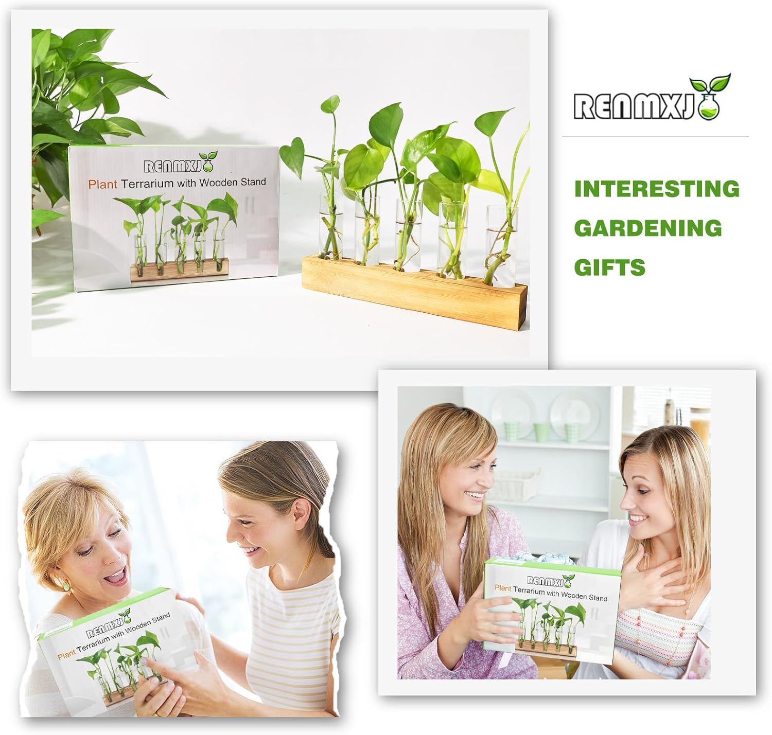 Plant Propagation Station, Plant Terrarium with Wooden Stand, Plants Pots for Hydroponics, Small Birthday Gardening Gifts for Women Mom Plants Lovers Unique - 5 Glass Test Tubes Vases - Image 6