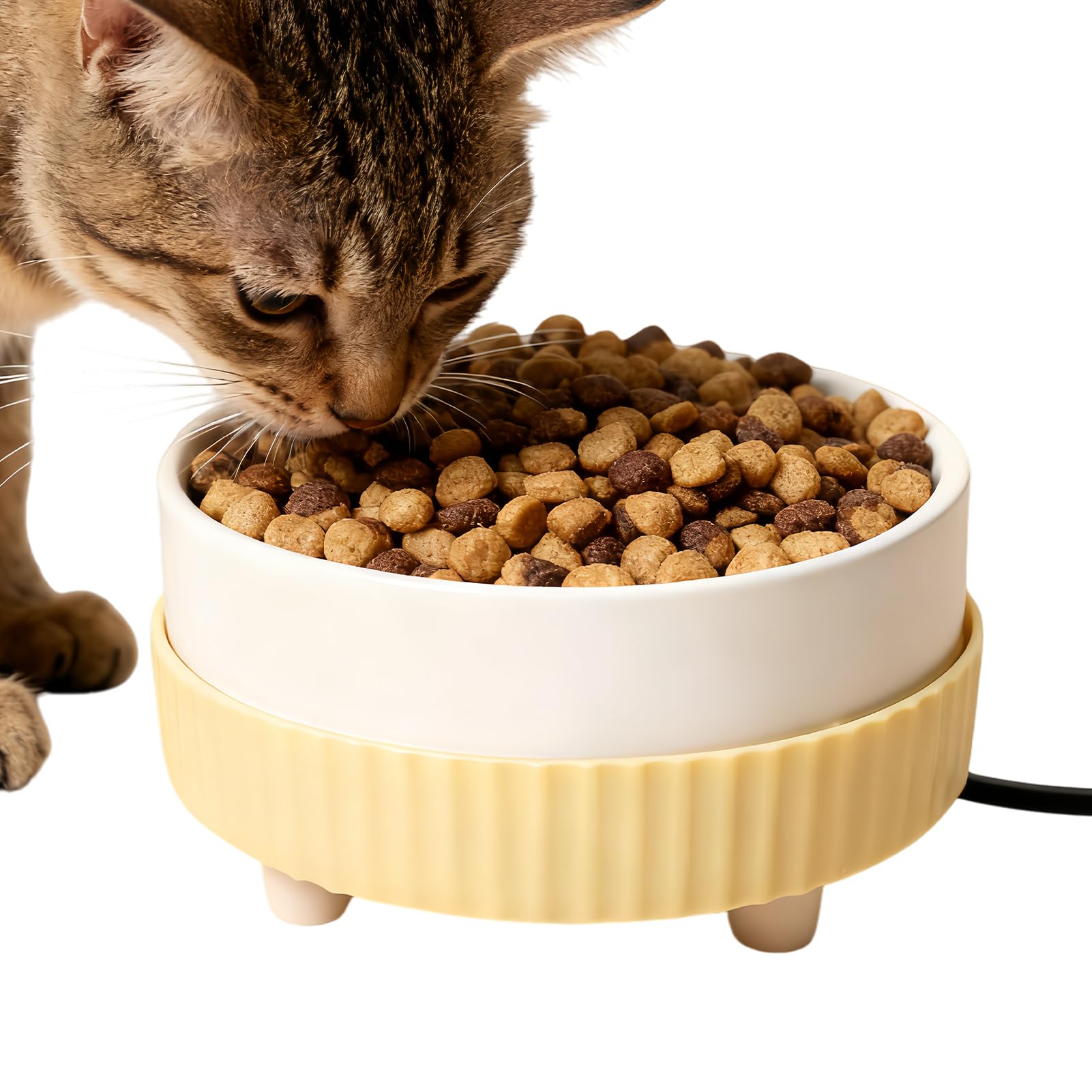 Gamelle chauffante anti-gel pour chat et chien : l'eau ne gèle plus en hiver