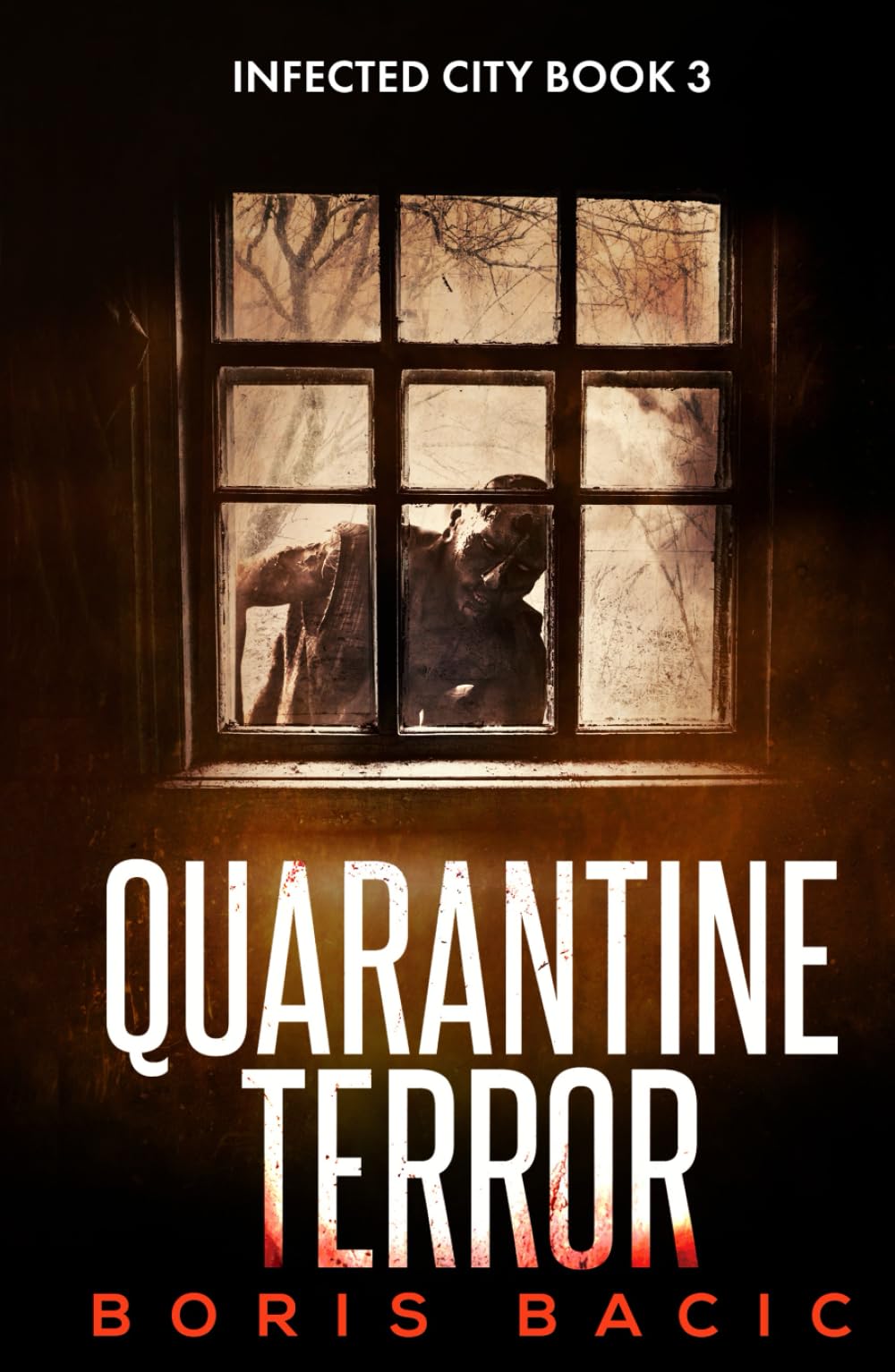 Quarantine Terror (Infected City)
