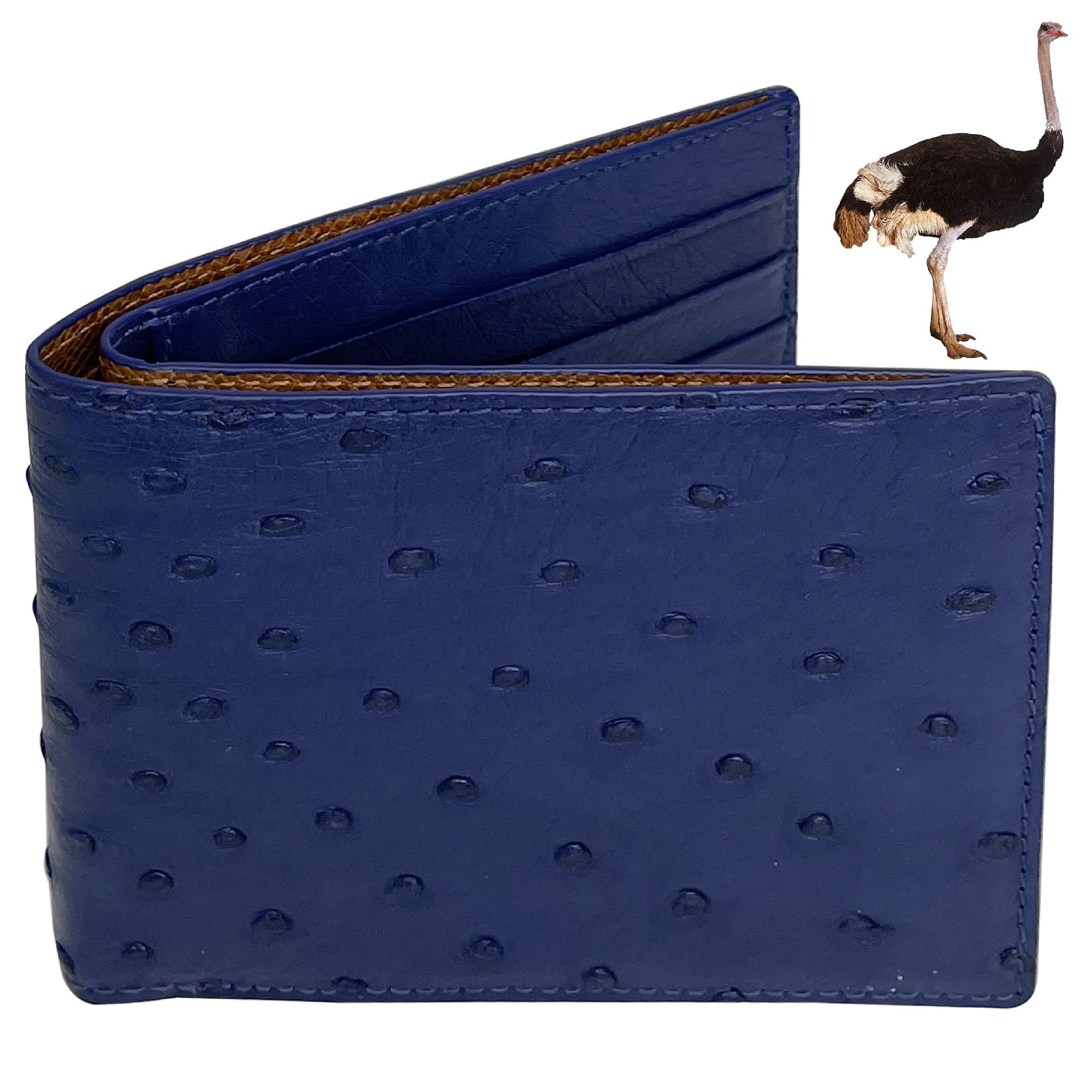HATA Navy Blue Ostrich Leather Bifold Wallet for Men, Double-Sided Ostrich Billfold with RFID Blocking, Handmade Leather Wallet Gift for Birthday, Anniversary, Father's Day VINAMOS-04