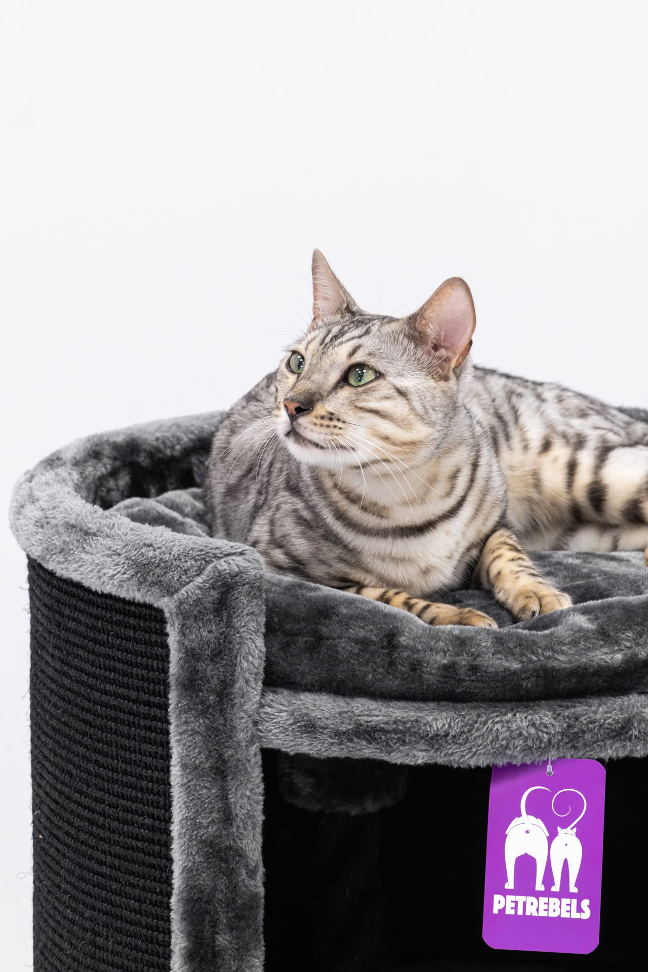 Petrebels Tiragraffi XL di alta qualità, Superdome, altezza 100 cm, diametro 50 cm, design per gatti grandi, extra largo per la massima stabilità, colore nero