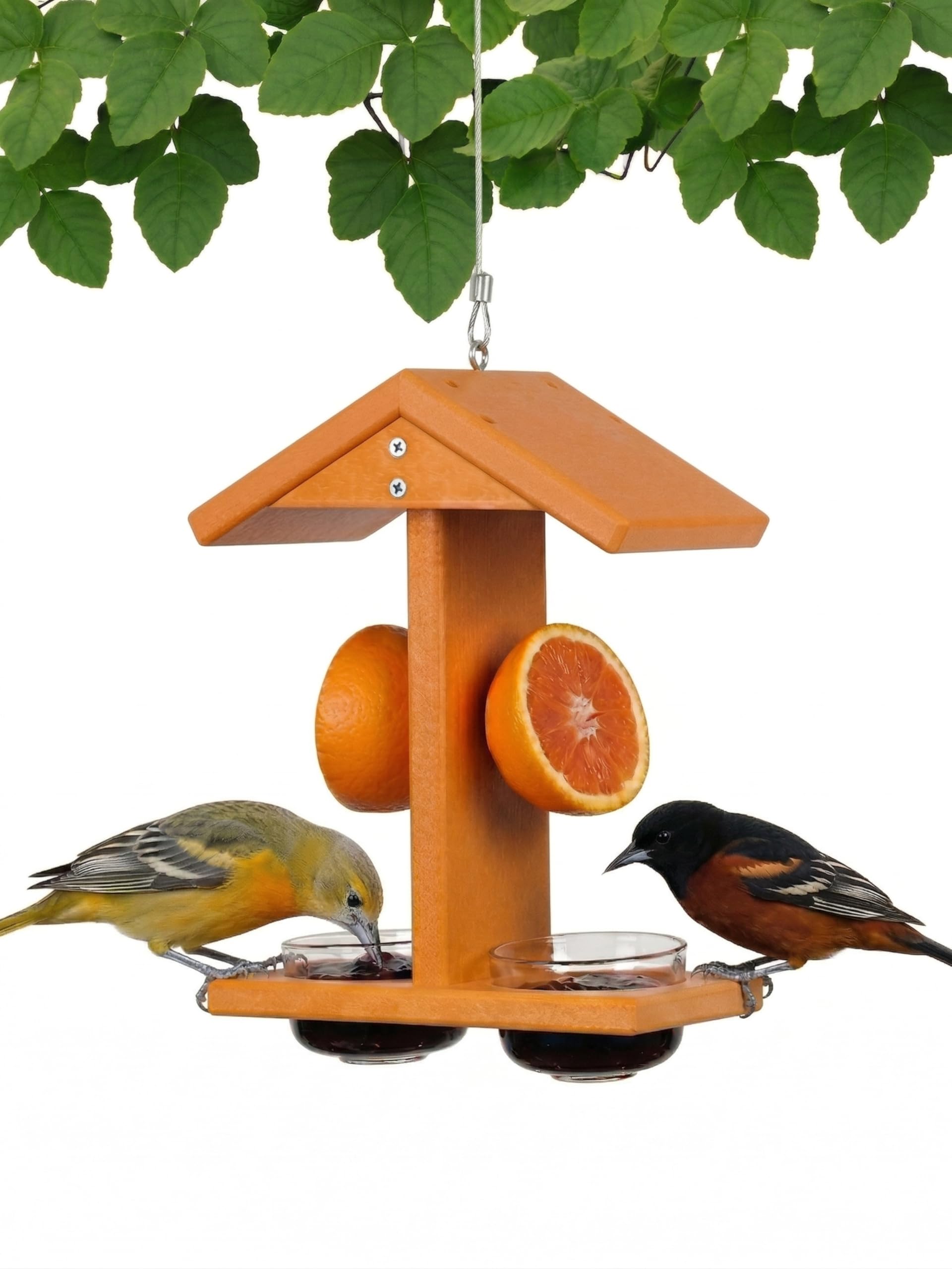 Amazon.com : Backyard Essentials Hanging Baltimore Oriole Feeder