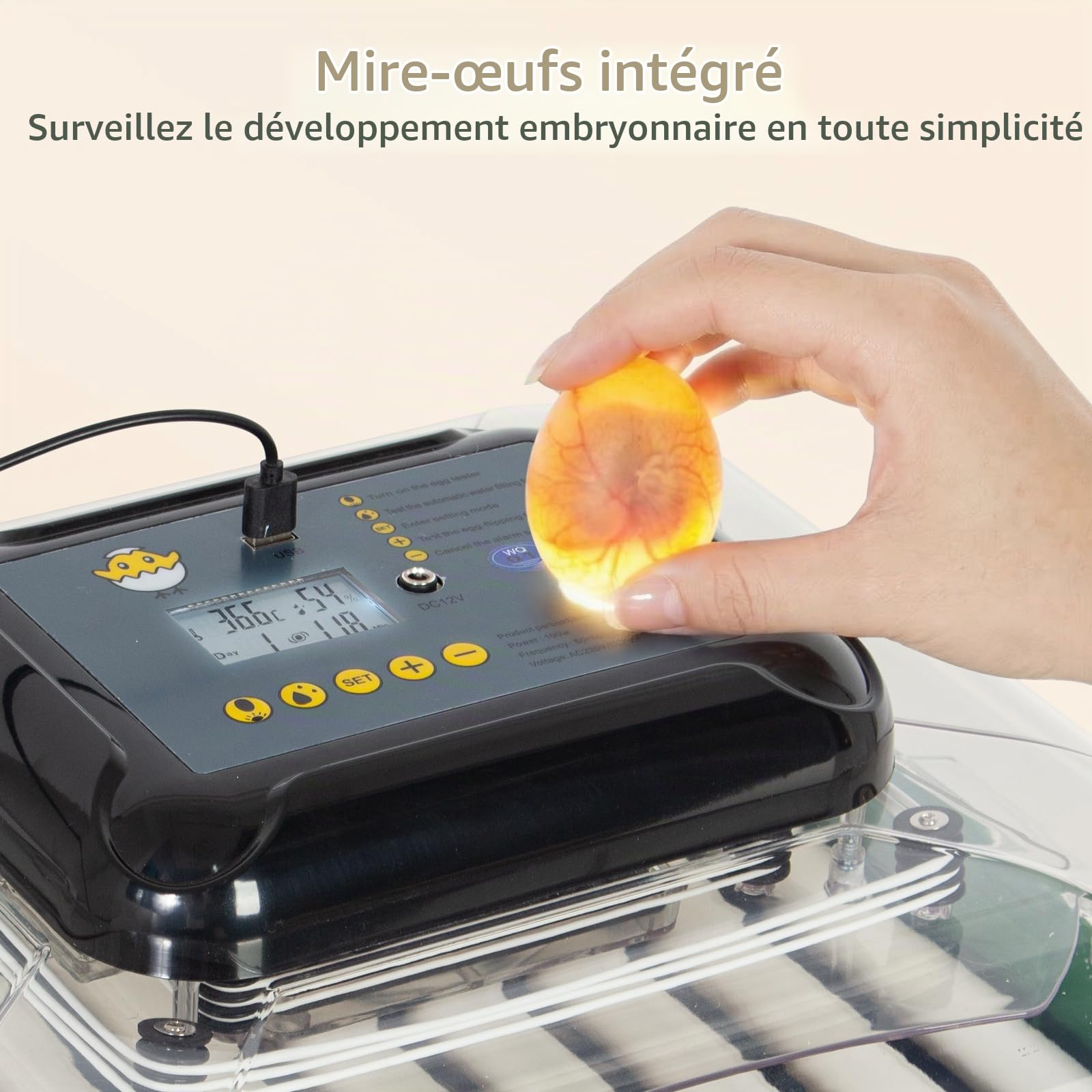 Todeco Incubateur Automatique 53 Œufs, Température & Humidité Réglables
