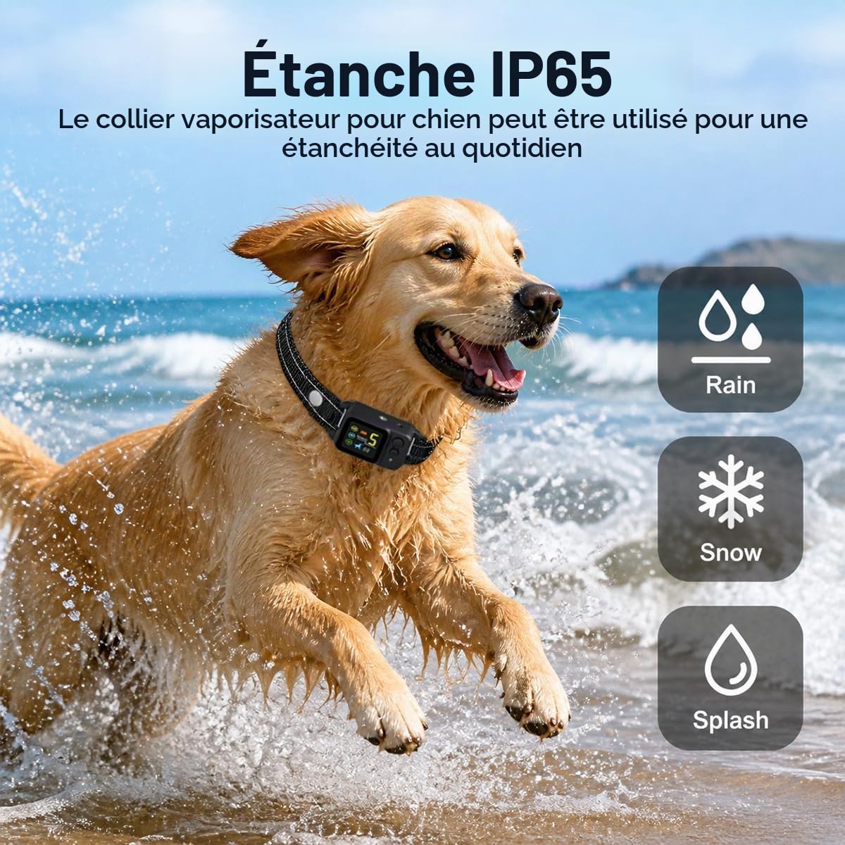 Collier Anti-aboiement à Spray à la citronnelle, Collier Automatique Anti-aboiement avec 5 sensibilité & Modes bip/Vibration/Spray, Automatique Collier d'éducation canin pour Petits et Grands Chiens