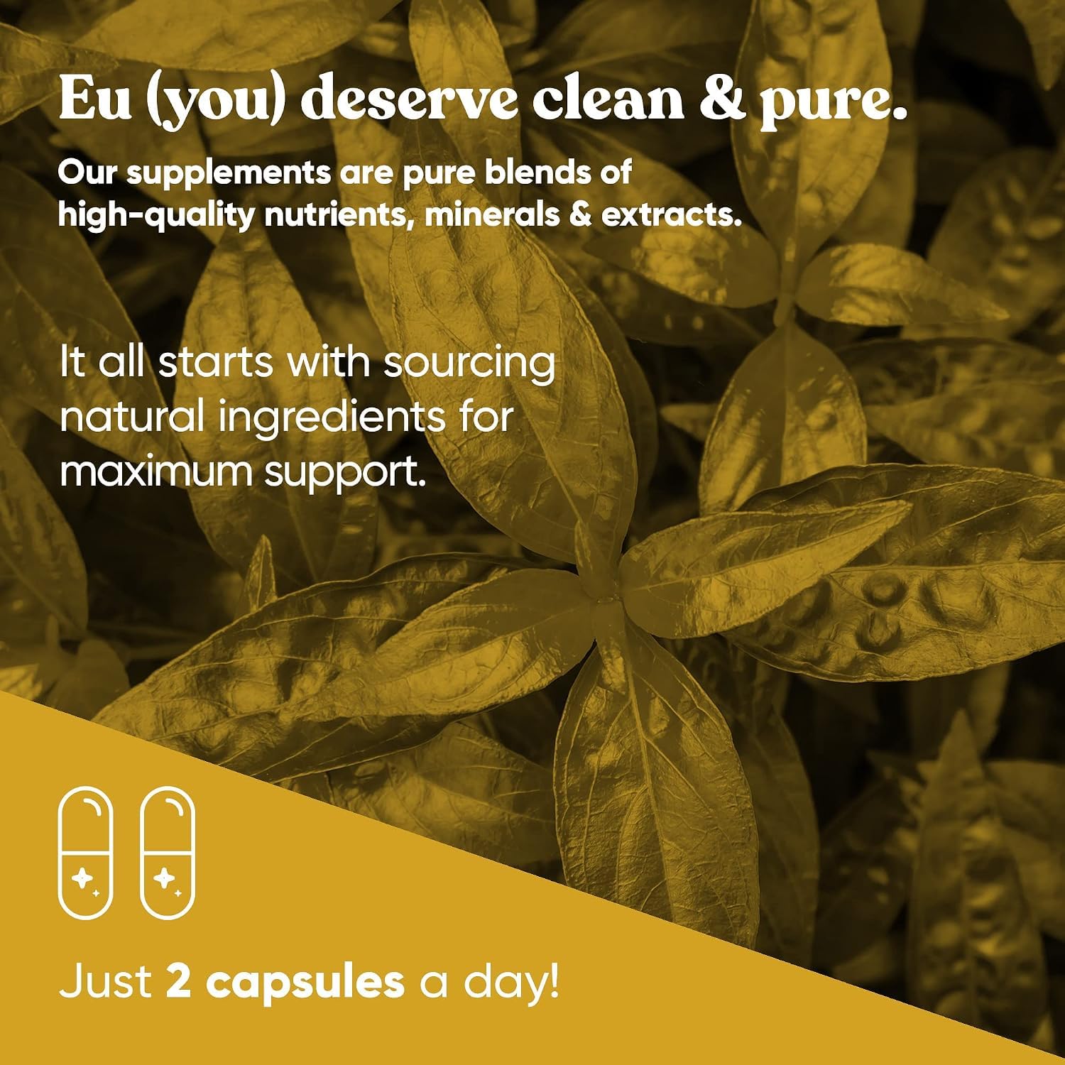 Eu Natural A+ Armor Andrographis Paniculata, 800 mg, 60 Vegan Capsules — Amazon image 5