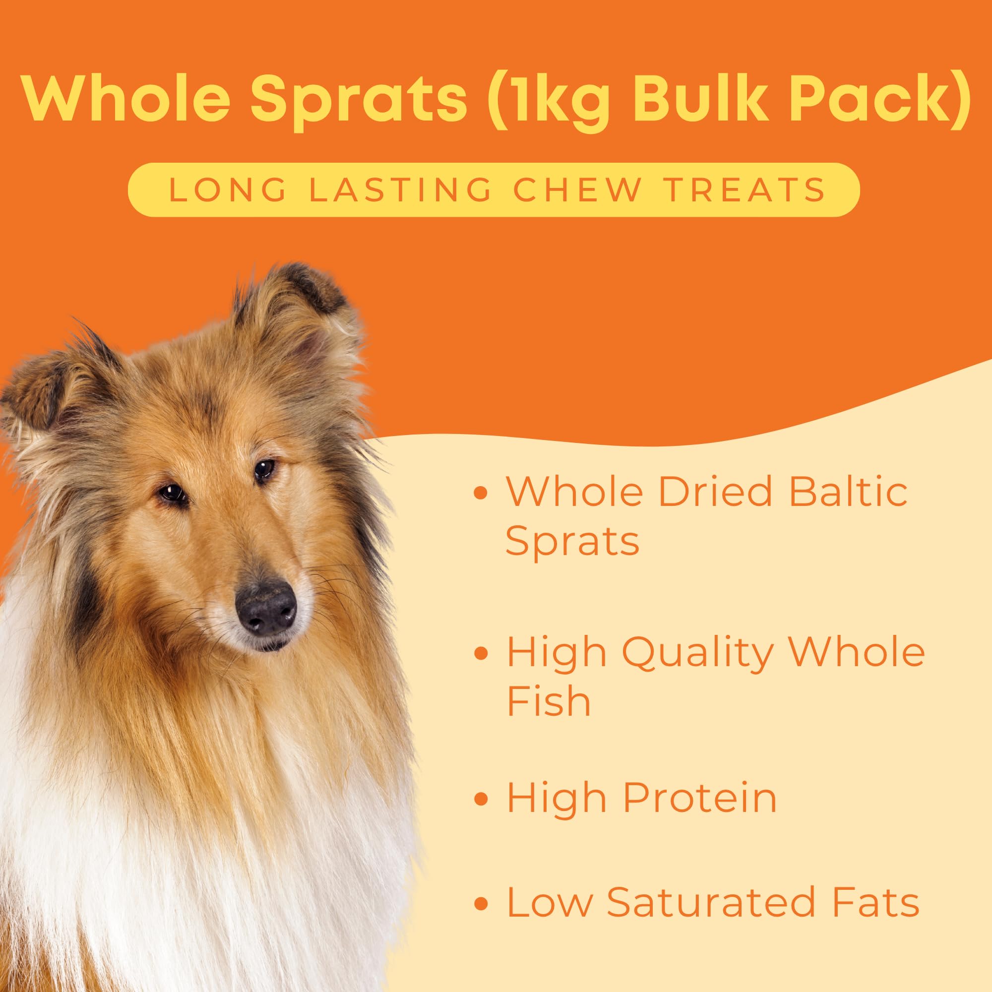 Dog & Field Whole Dried Sprats for Dogs - 1kg Bulk Pack, 1 kg (Pack of 1) - Image 2