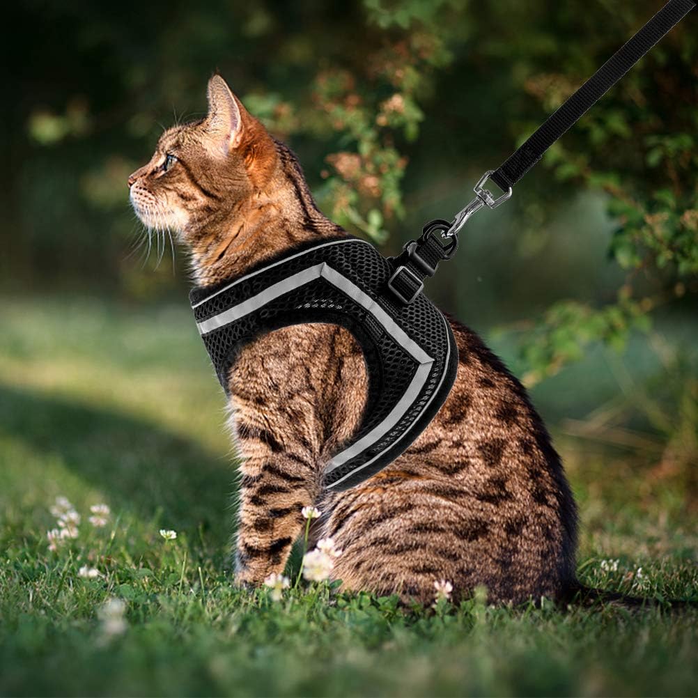 PUPTECK Breathable Cat Harness and Leash Set - Escape Proof Cat Vest Harness, Reflective Adjustable Soft Mesh Kitty Puppy Harness, Easy Control for Outdoor Walking