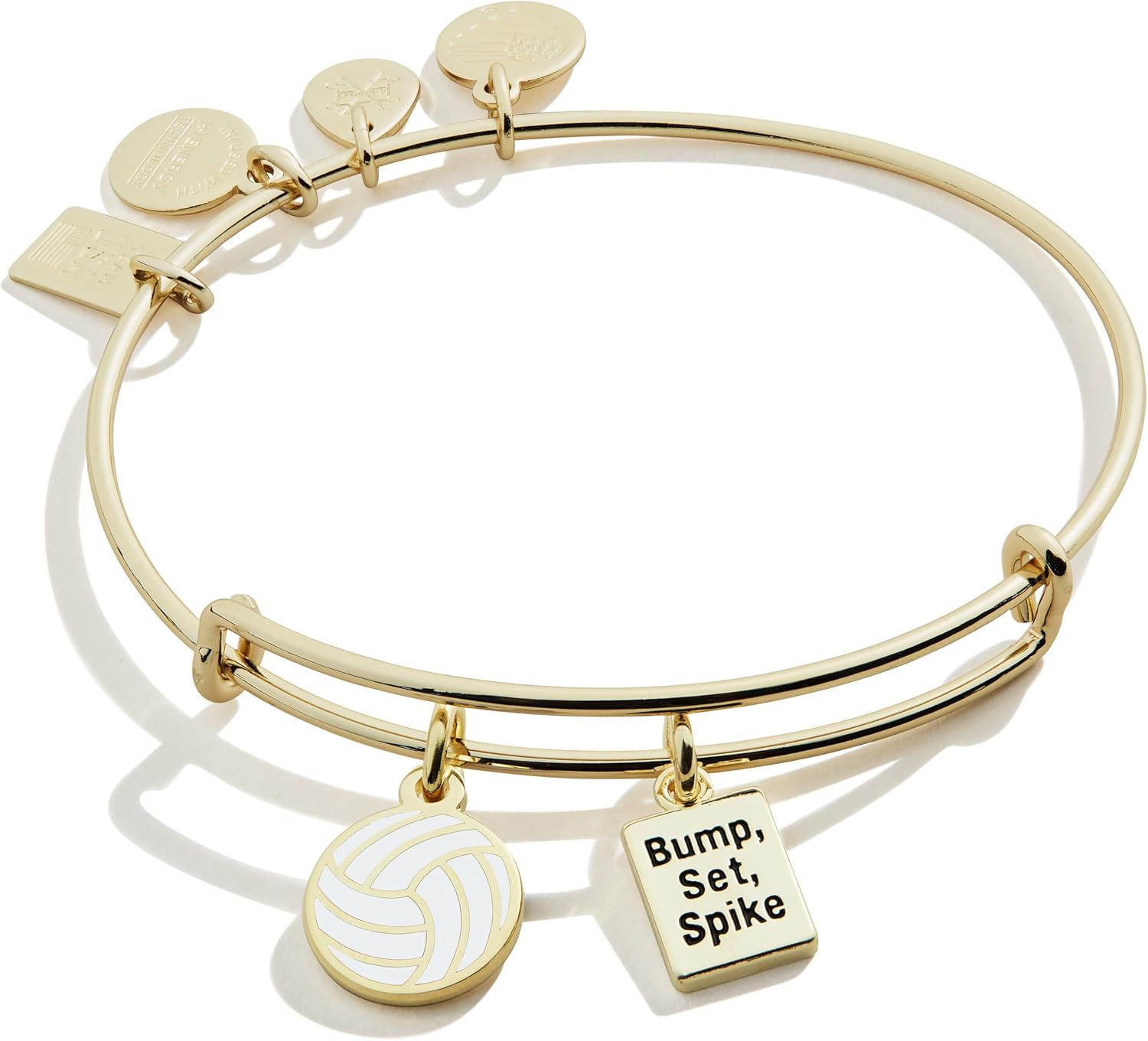 Alex and Ani Collaborations Expandable Bangle for Women, Team USA Volleyball Duo Charms, Shiny Gold Finish, 2 to 3.5 in : Everything Else
