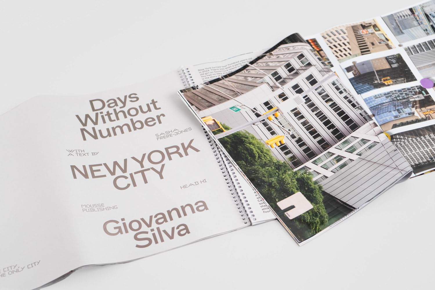 Giovanna Silva: Days without Number. Ediz. a spirale: Days Without Number, New York City