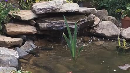 Pond Friend Mini Waterfall Filter Complete With Super 19cm Wide Blade Type Cascade For Garden Fish Ponds - Online Marketplace