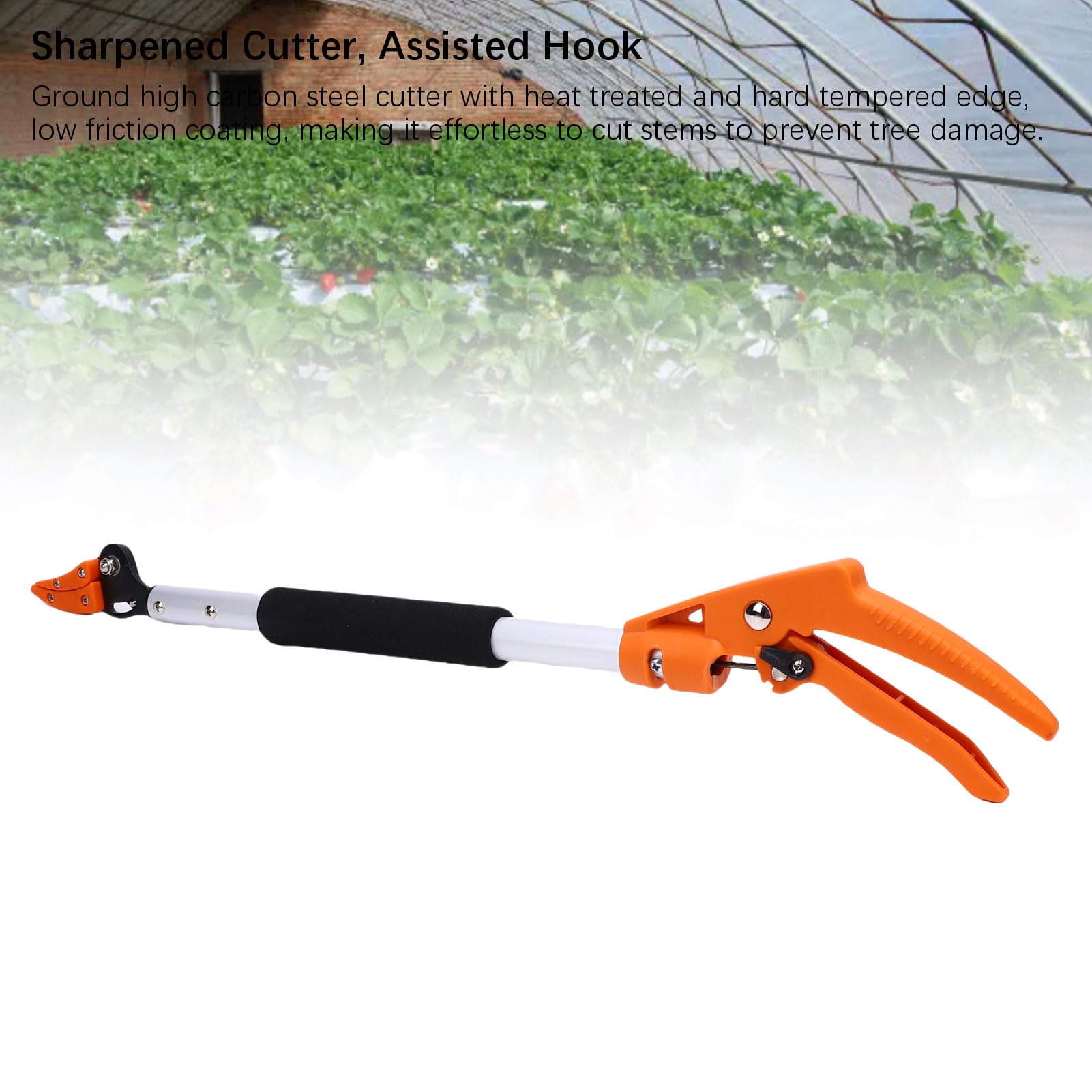 Jenngaoo Sécateur Professionnel pour Cueillette de Fruits, Taille Haute avec Lame Aiguisée en Acier Carbone, Manche Ergonomique Anti-Dérapant pour Verger Familial, Jardin, Récolte