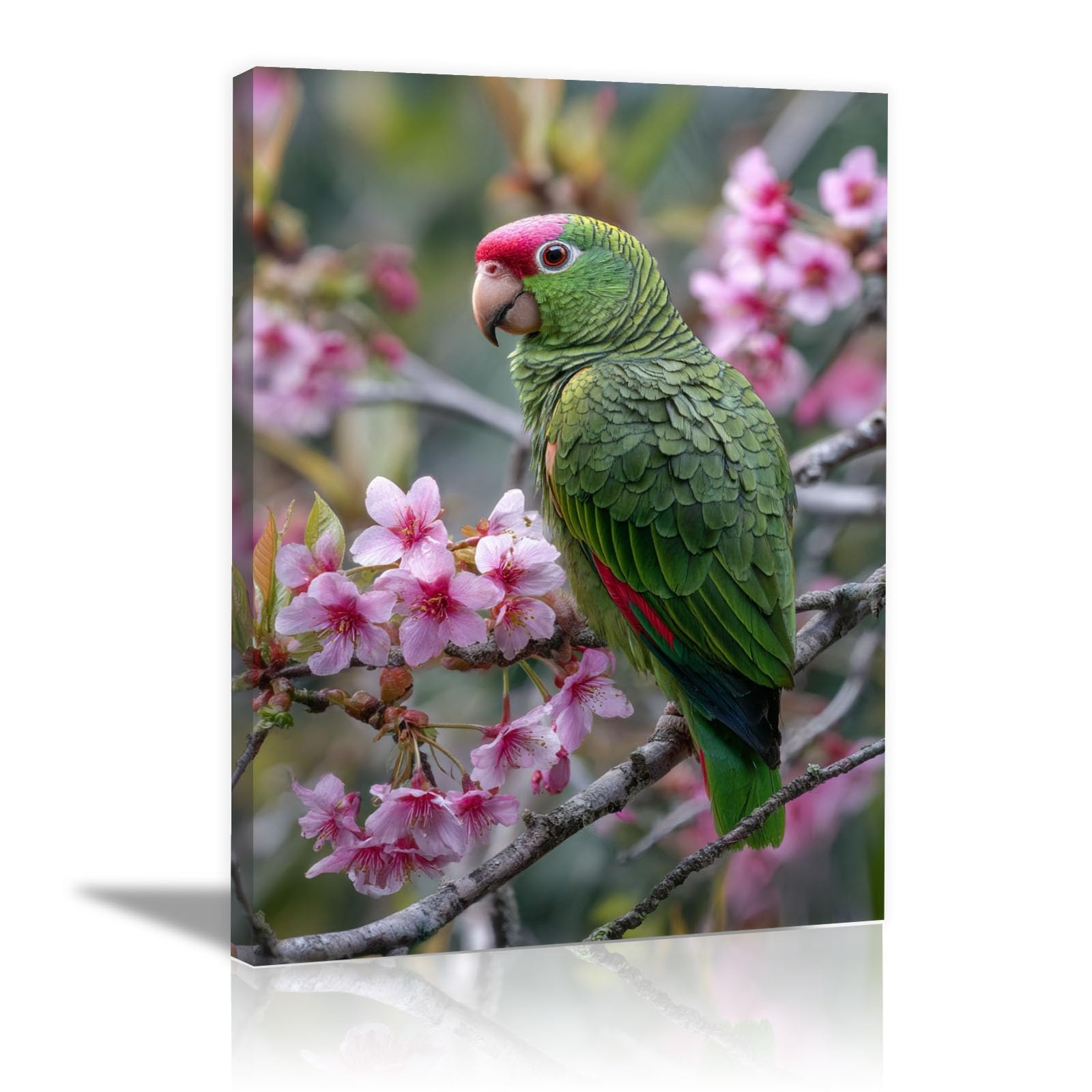 TERUEA Modern Art Animal Canvas Wall Decor, Green Bird Pink Blossom Branch Wildlife Canvas Wall Art Watercolor Prints Pictures(Green)-70x100cm Framed