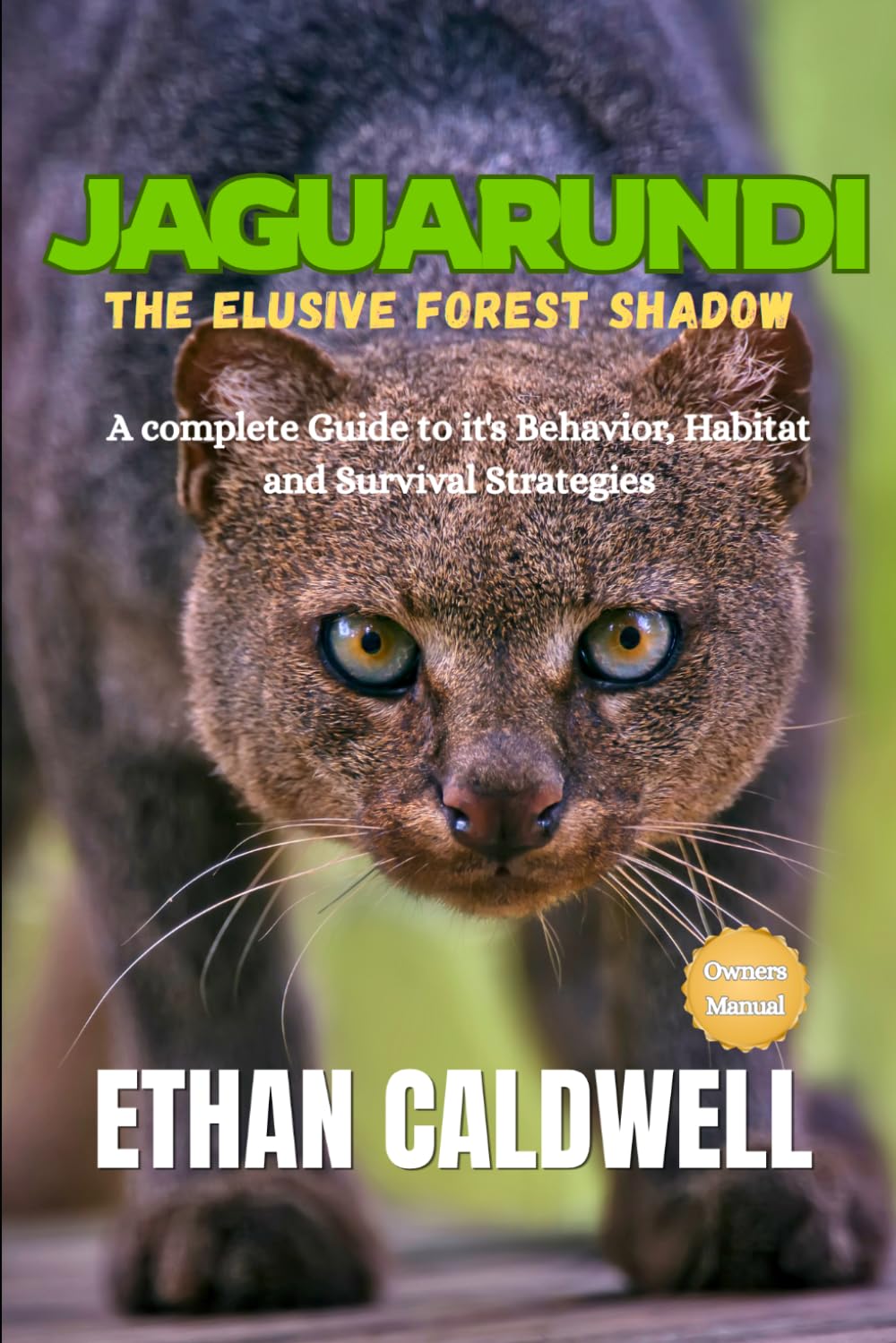 Jaguarundi: the Elusive Forest Shadow: A complete Guide to it's Behavior, Habitat and survival strategies