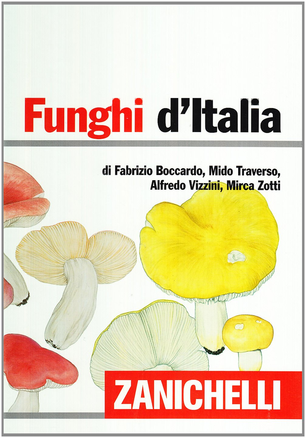 Funghi d'Italia