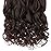 REECHO 12 1-pack 3/4 Full Head Curly Wave Short Clips in on Synthetic Hair Extensions HE008 Hair pieces for Women 5 Clips-Dark Brown