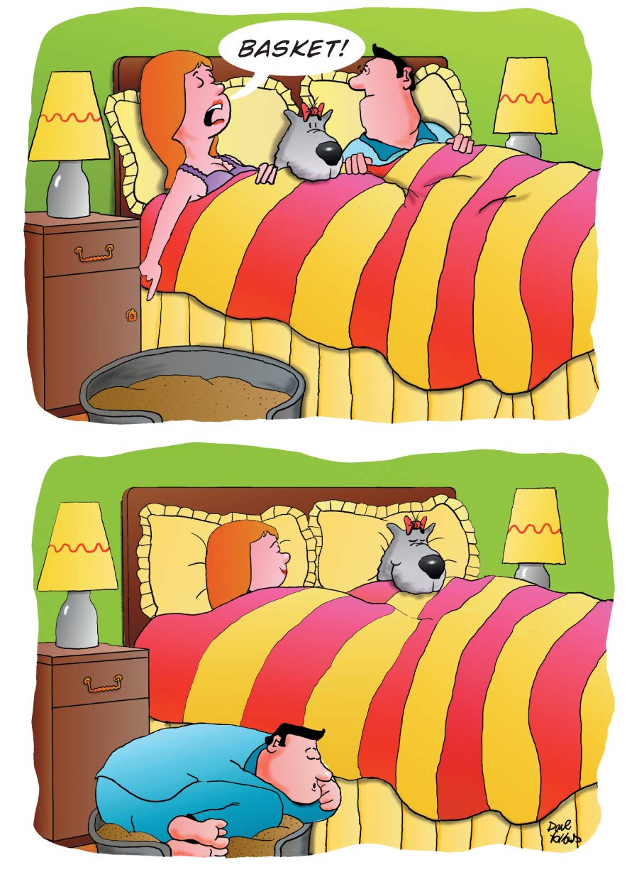 Spoilt Sleeping Dog Funny Humourous Birthday Card The Funny Side Of Life