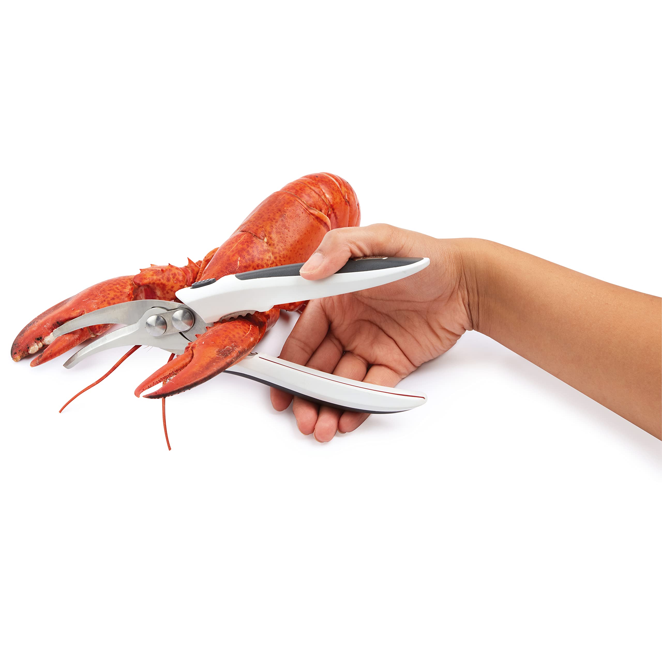 Zyliss E910039 Forbici per Crostacei, Plastica, Acciaio Inossidabile, Bianco, Grigio, Strumento per Frutti di Mare, Aragoste, Granchi e Scampi, Lavabile in Lavastoviglie