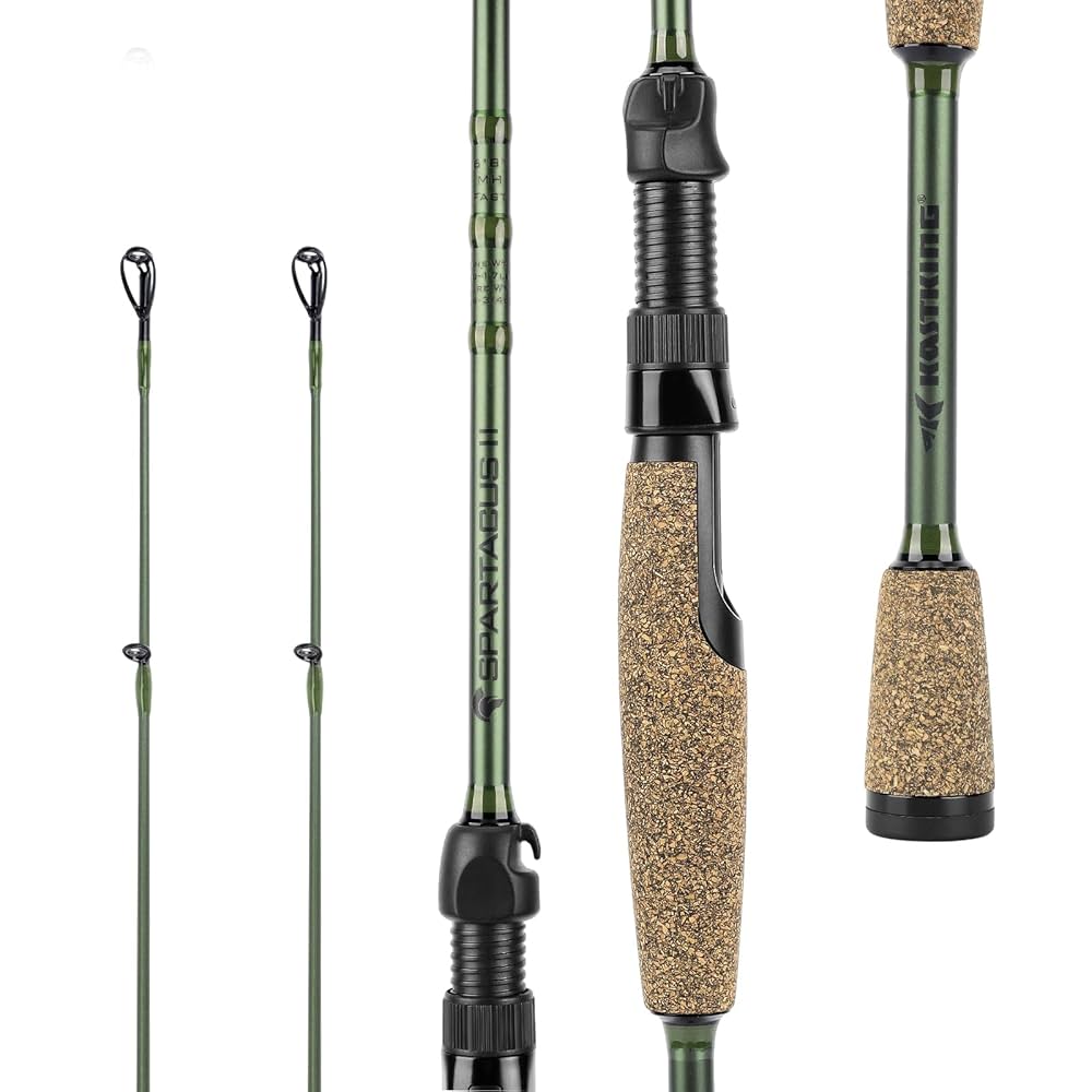 Amazon.com : KastKing Spartacus II Twin Tip Fishing Rods