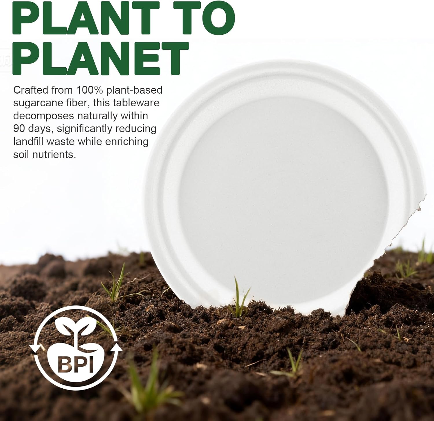 Compostable Paper Plates 10 inch 144 Count Disposable Heavy Duty Large Party Plates Bulk for Dinner Appetizer Dessert Cake Birthday Holiday Party Supplies White - Image 7