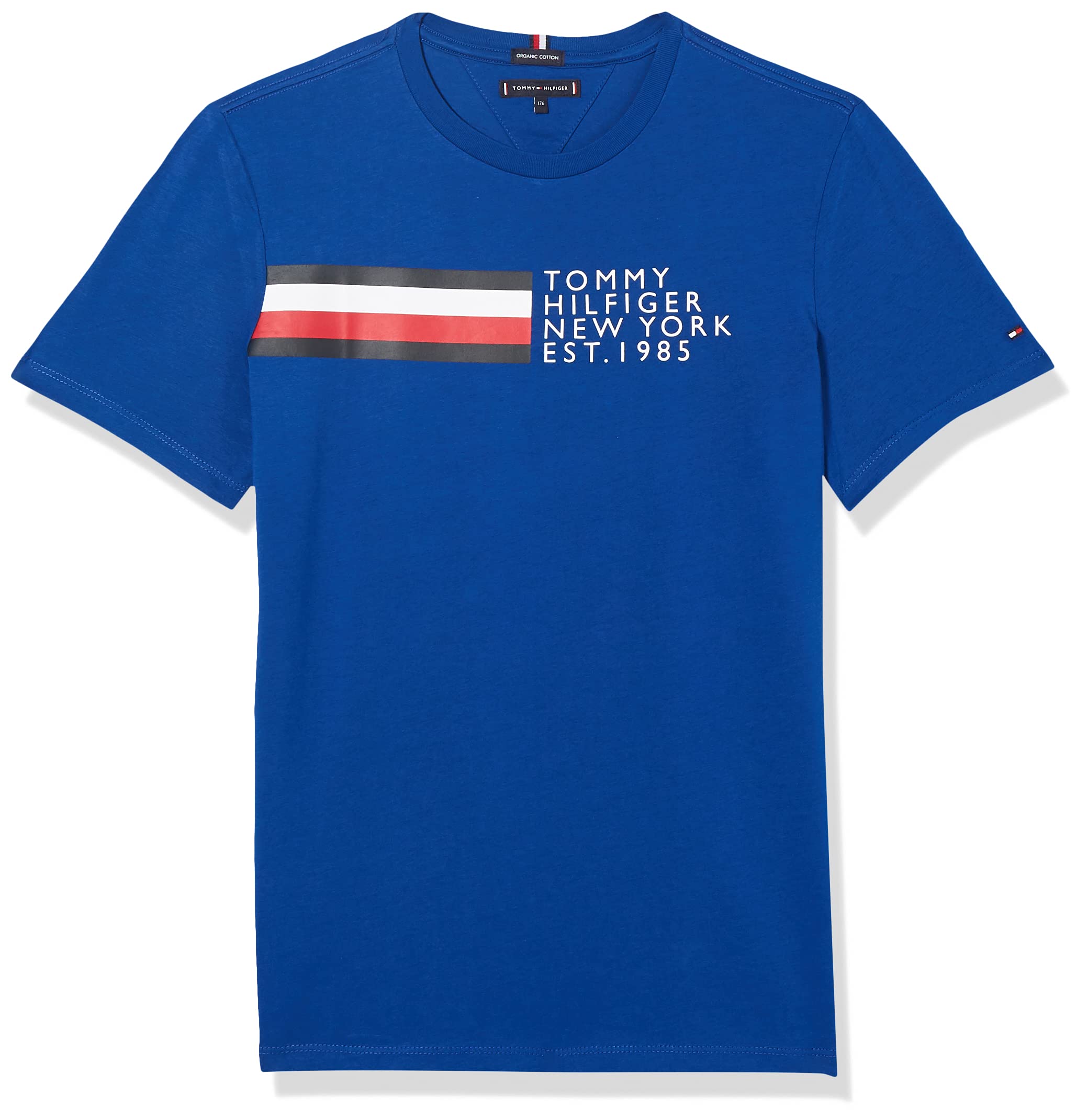 Tommy Hilfiger Global Stripe Graphic TEE S/S