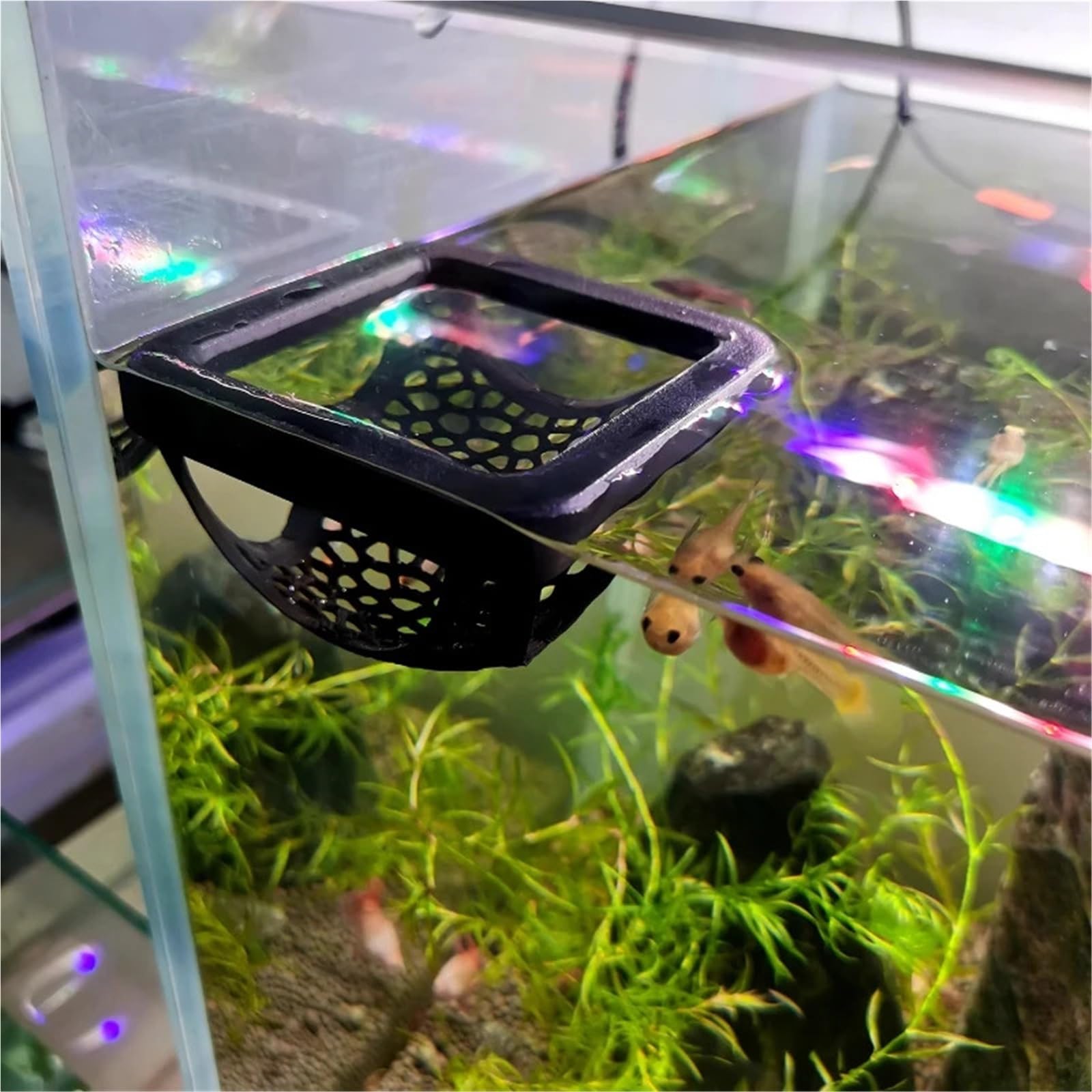 Lot de 2 cachettes flottantes 3 en 1 pour aquarium, grotte pour poissons, crevettes, hamac, anneau d'alimentation et lieu de repos (blanc)