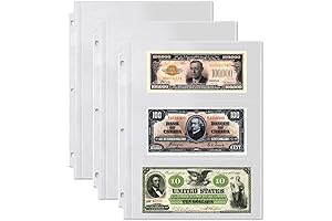 Dunwell Currency Sleeve Protectors for Collectors (25 Pack)