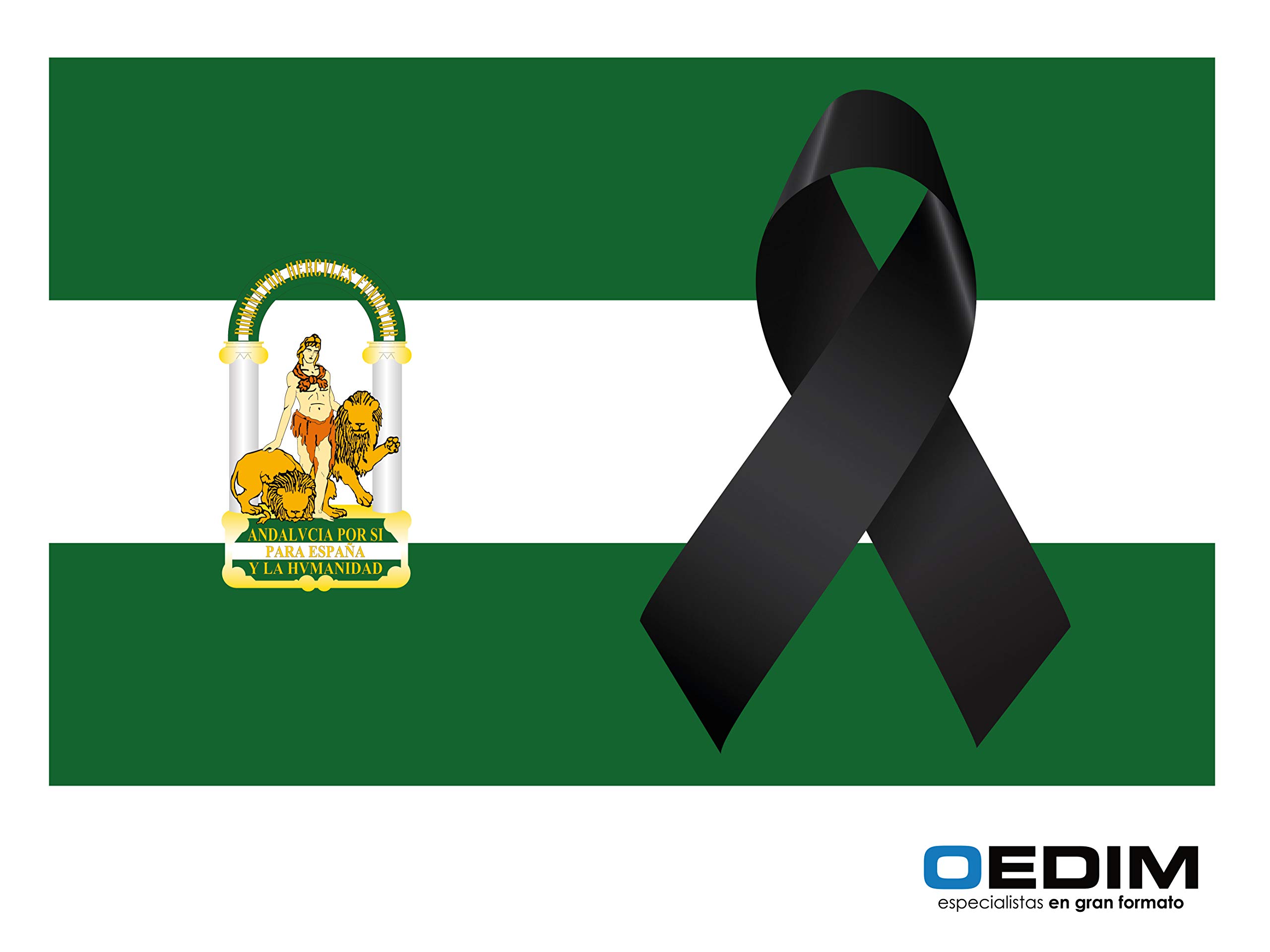 Oedim - Confezione da 10 e 30 bandierine di Andalusia in vinile adesivo trasparente con effetto specchio e inchiostro bianco Confezione da 30