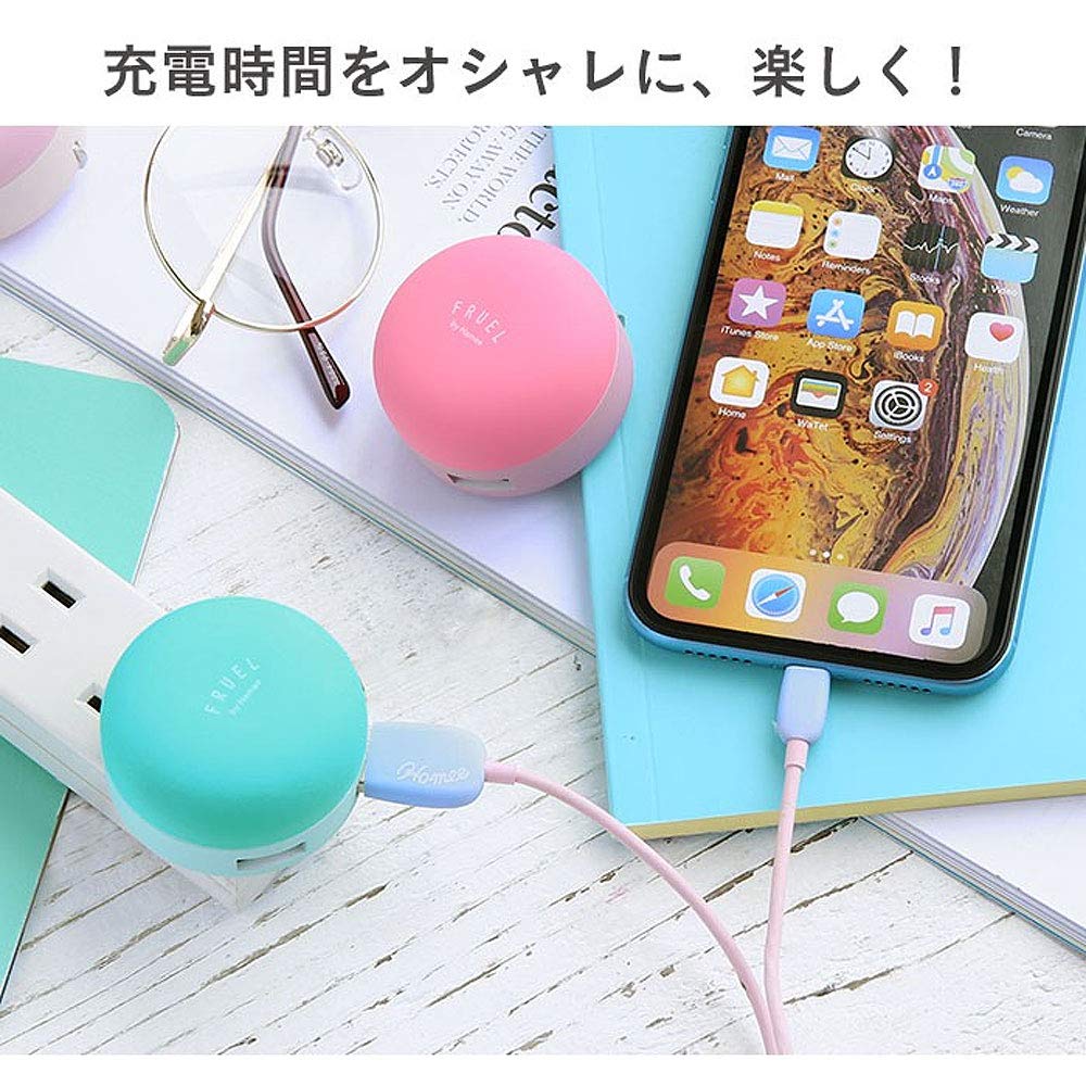 Amazon | FRUEL 2ポート USB 充電器 急速 ACアダプター [ミント