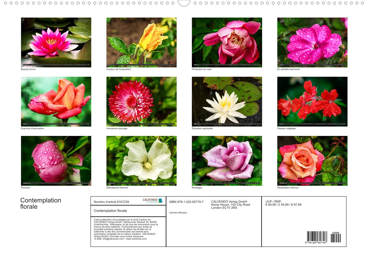 Contemplation florale (Premium, hochwertiger DIN A2 Wandkalender 2022, Kunstdruck in Hochglanz): La contemplation d'une fleur est un des premiers ... de notre âme. (Calendrier mensuel, 14 Pages )