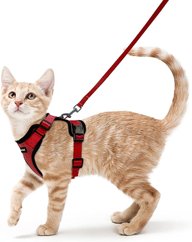 rabbitgoo Pettorina Gatto Antifuga con Guinzaglio, Guinzaglio per Gatti Regolabile, Pettorina Cane Taglia Piccola Riflettente, Imbracatura Gatto Adulto in Maglia Traspirante per Passeggiate, Rosso, XS