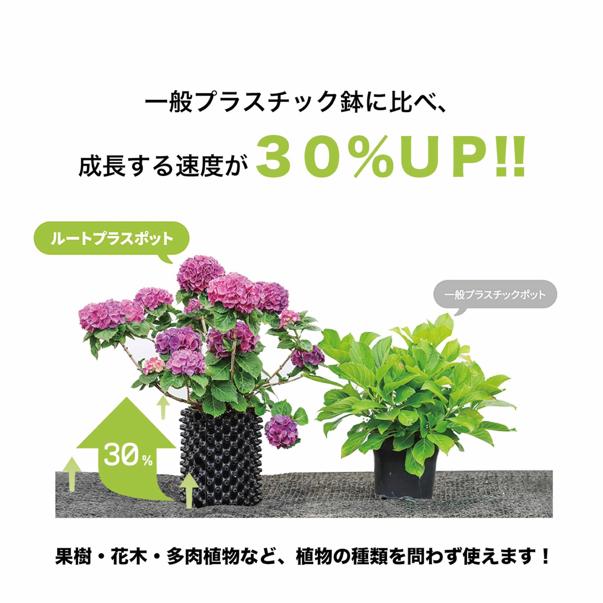ルートプラスポットへの植栽オススメしてます。