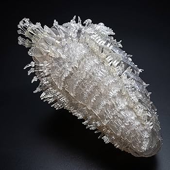 【美品】新品未開封　タケヤ式自在置物 風の谷のナウシカ 王蟲 クリア Amazon.co.jp: タケヤ式自在置物 風の谷のナウシカ 王蟲 クリア