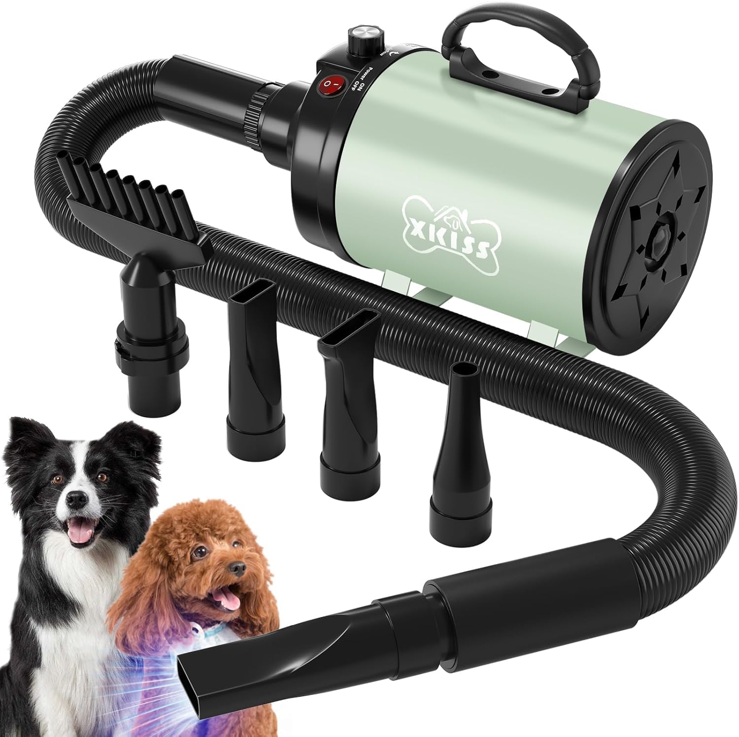 XKISS Soffiatore per Cani 2800W Asciugatore per Cani Continua con velocità e Temperatura Regolabile Asciugacapelli per Animali Domestici，Grooming Cane Animali，con 4 Accessori(Verde)