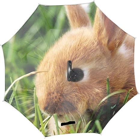 Amazon うさぎ草が耳を登るさかさま 逆さ 逆 折り 傘 雨具 アンブレラ 軽量 デザイン おしゃれ 濡れない 折れない 男 女 兼 用 2重 構造 丈夫 安全 長持ち Suonatori 長傘 通販