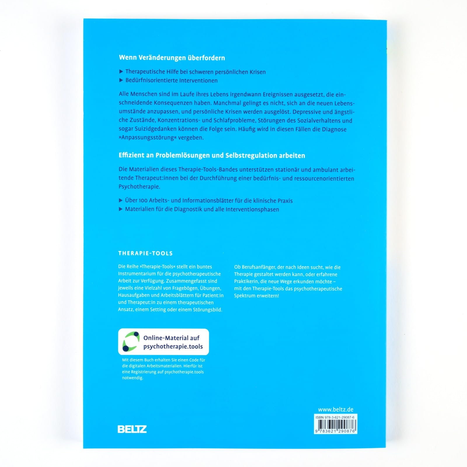 Therapie-Tools Anpassungsstörungen: Mit E-Book inside und Arbeitsmaterial (Beltz Therapie-Tools)