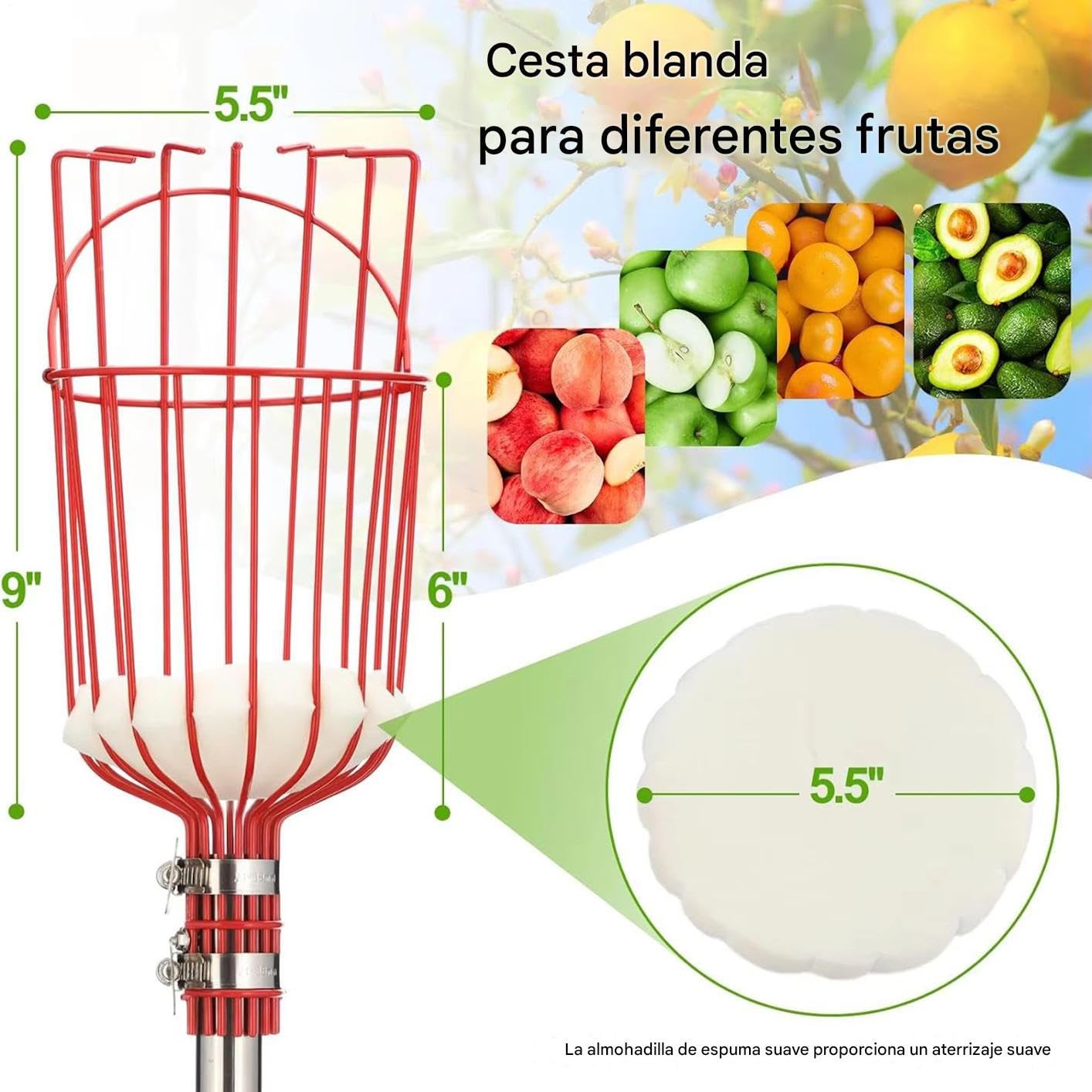 Varilla Telescópica con Cesta para Frutas | Recolector de Árboles Frutales de 4 m - Herramienta Portátil de Recolección para Naranjas, Limones, Melocotones, Peras, Granadas, Aguacates y Huertos