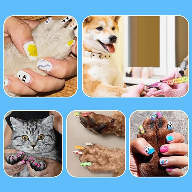 Foto 6 de 8 de Juego de esmaltes de uñas de perro de 6 colores, secado rápido, seguros, para uso doméstico y varias ocasiones