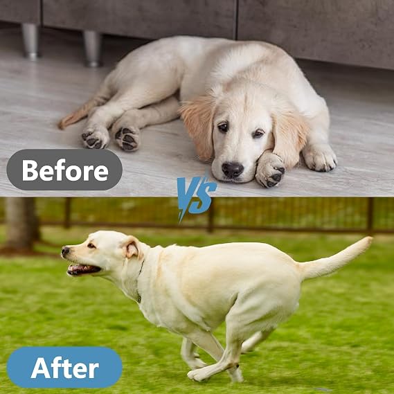 Canine Hip & Joint Supplement 100 g Promotes Cartilage and Bone Health, Enhances Joint Mobility and Flexibility, Enriched with Calcium Phosphate/Chondroitin Sulfate/Vitamins
