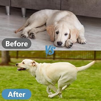 Canine Hip & Joint Supplement 100 g Promotes Cartilage and Bone Health, Enhances Joint Mobility and Flexibility, Enriched with Calcium Phosphate/Chondroitin Sulfate/Vitamins