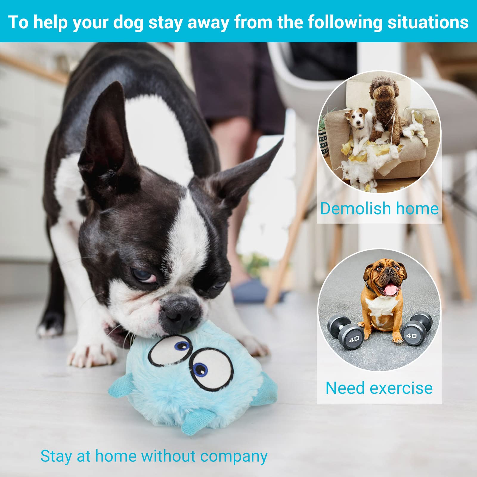 Amazon | Enjoying 犬 猫 おもちゃ 2イン1 ペット用おもちゃ 音の出る