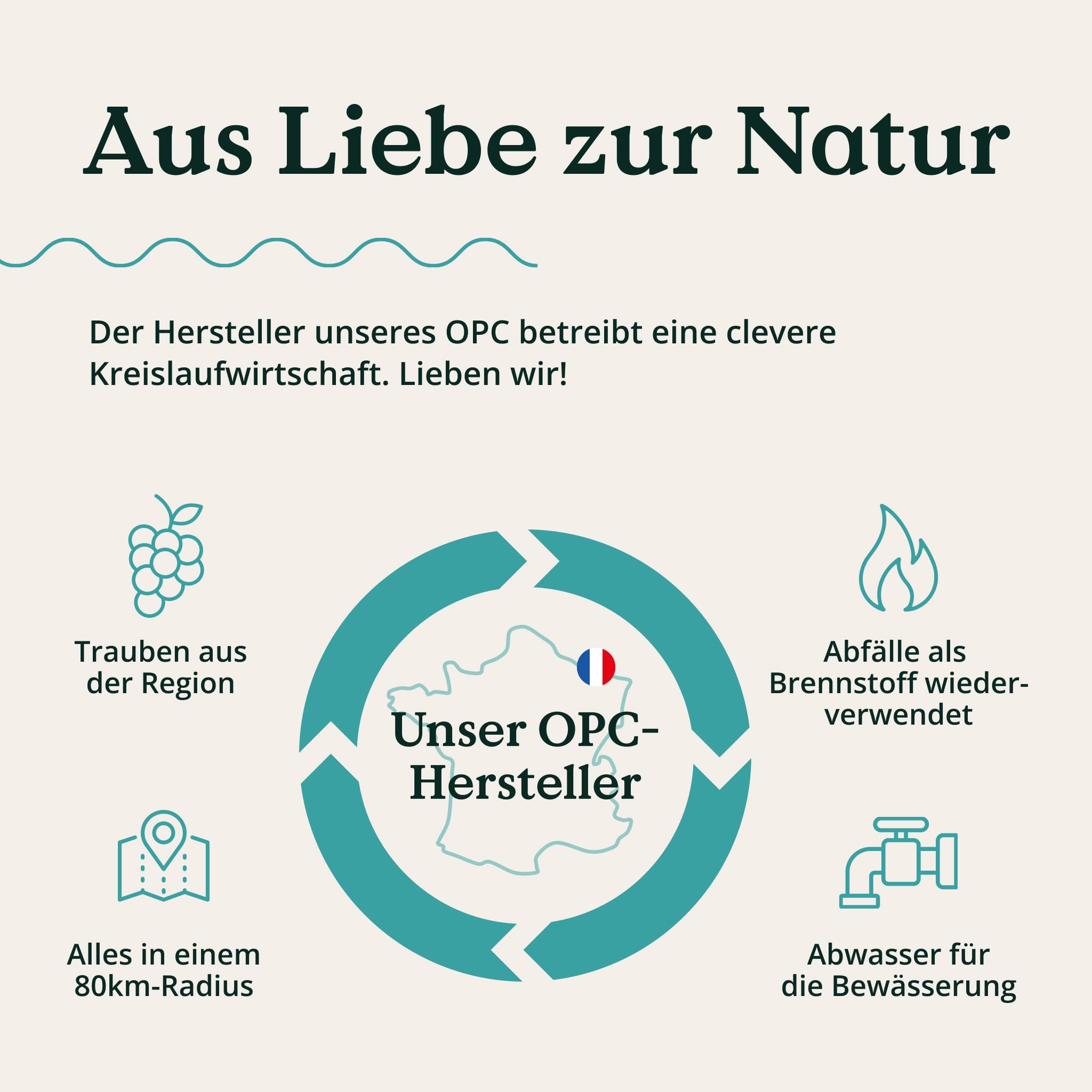 NATURE LOVE® OPC Traubenkernextrakt - 180 Kapseln - hochdosiert mit 800mg Extrakt je Tagesdosis - aus französischen Trauben - mit natürlichem Vitamin C - laborgeprüft, vegan, in Deutschland produziert